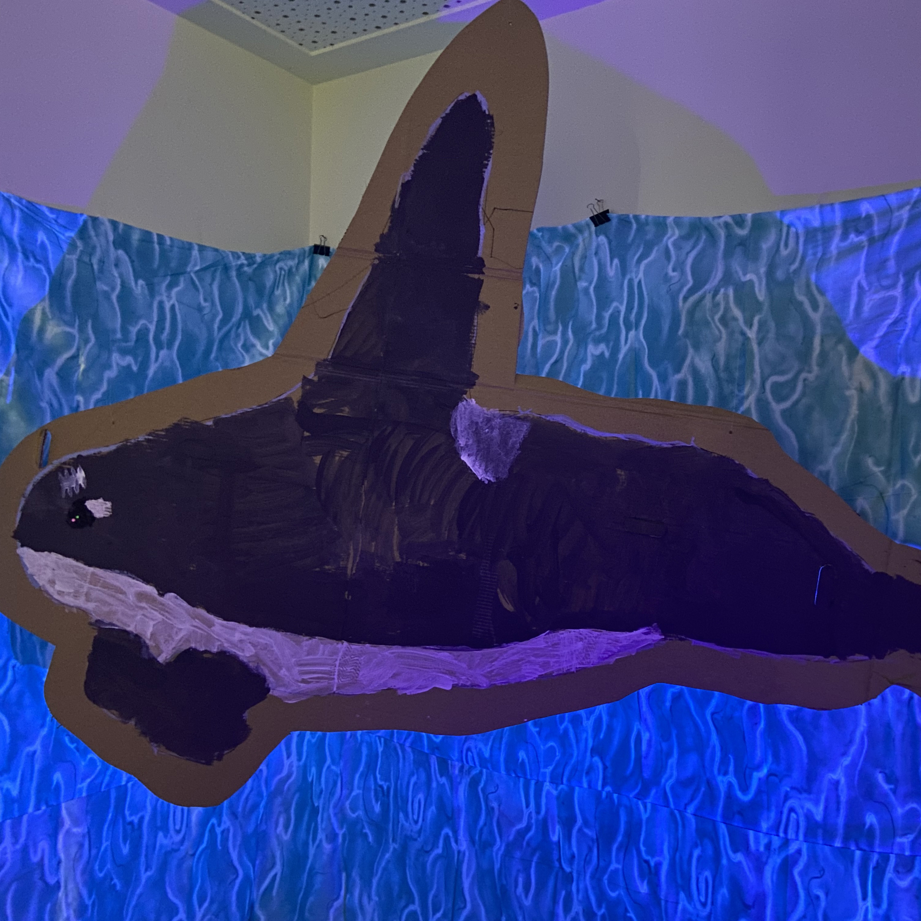 Ein riesiger Orca schmückt die Wand. Foto: Kerstin Kempermann