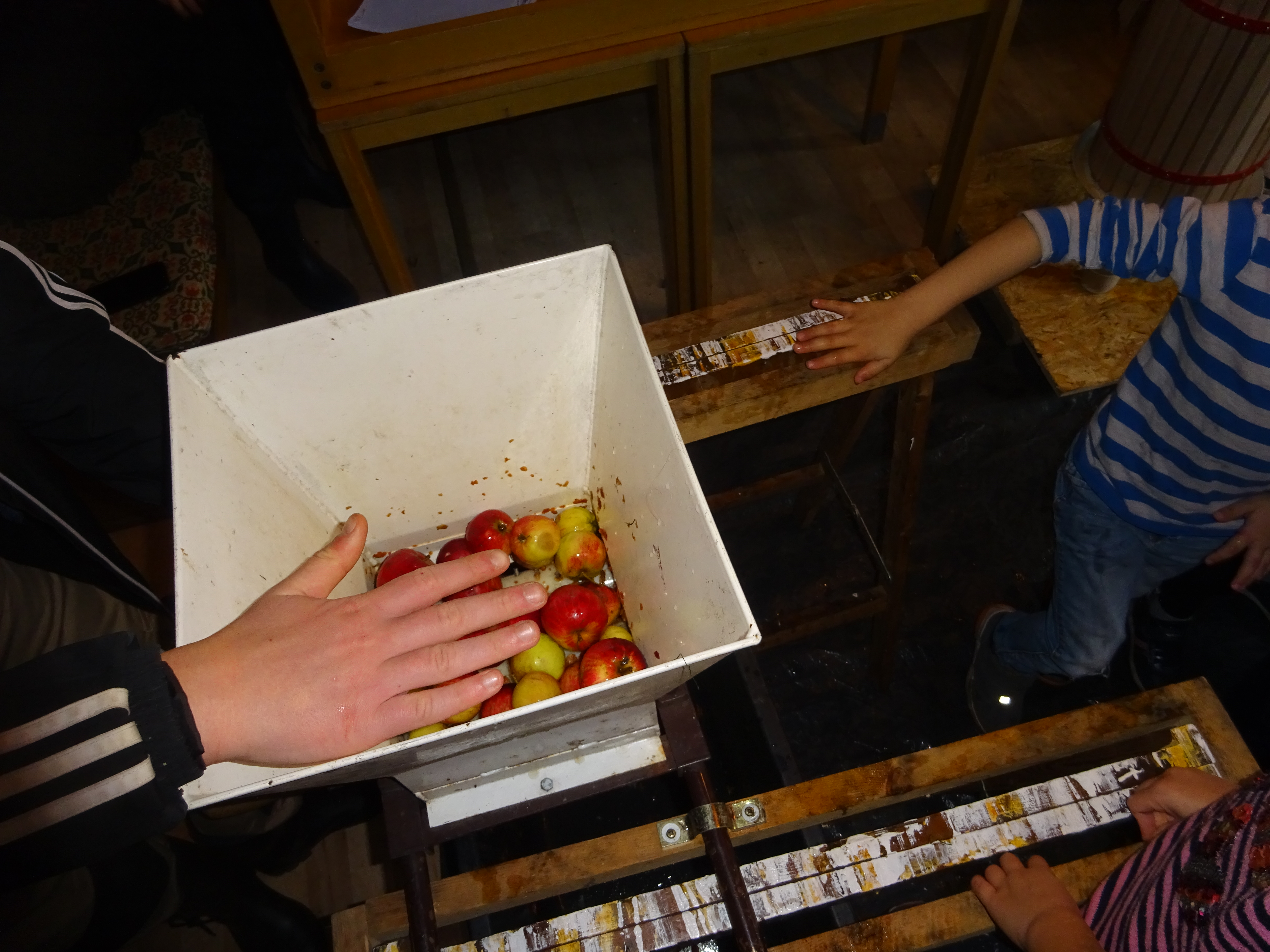 Die Kinder der DiKiTa konnten im Lehrgarten erleben, wie Apfelsaft gepresst wird. Foto: DiKiTa