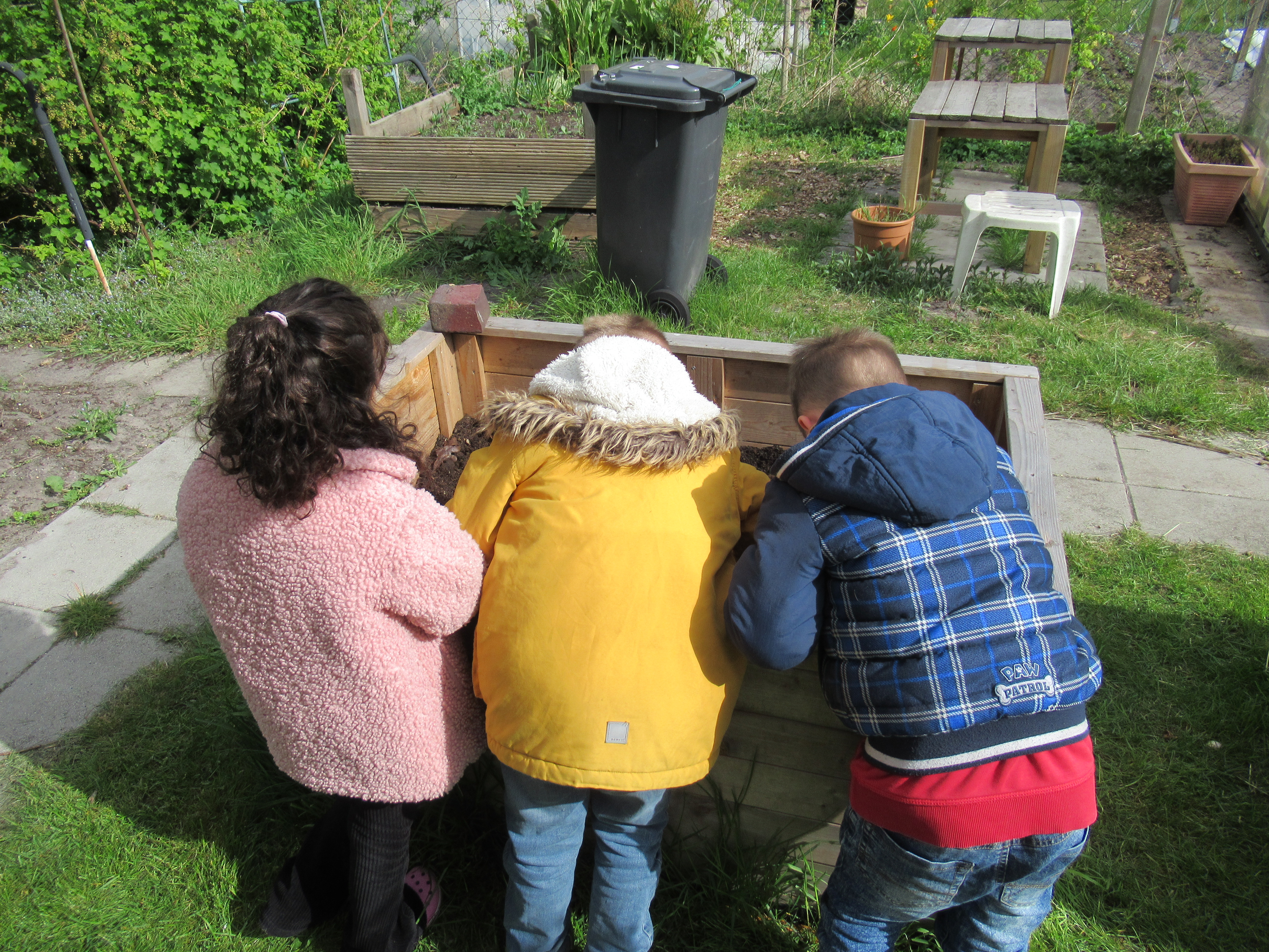 Die Kindergartenkinder im vorletzten Kindergartenjahr besuchen wieder wöchentlich den Lehrgarten in der Kleingartenanlage "Auf der Wunderburg". 