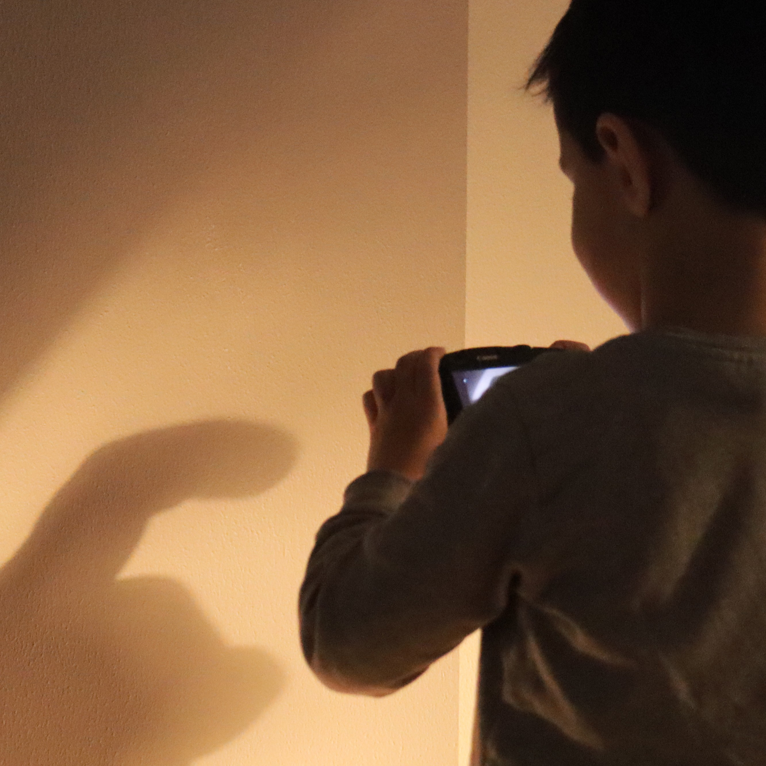 Konzentriert werden Schattenbilder fotografiert. Foto: Minifilmclub
